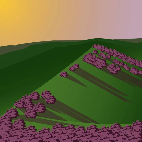 Картина Пагорбів Квітучими Чагарниками Тлі Заходу Сонця — стоковий вектор