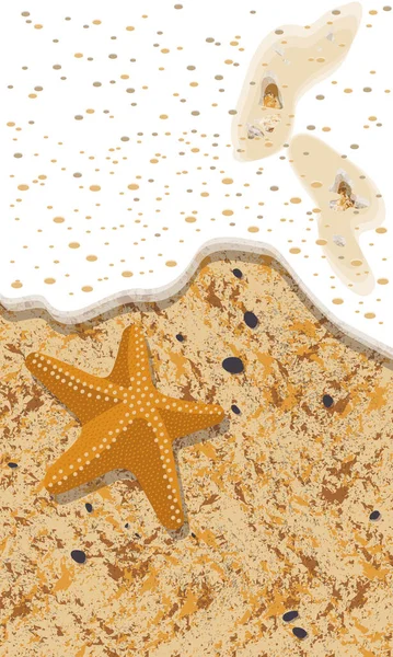 Playa Con Una Estrella Mar Olas Entrantes — Vector de stock