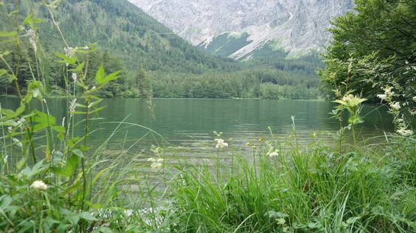 Schöner Trampersee Österreich Sommer — Stockfoto