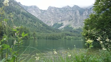 Avusturya yaz aylarında güzel göl Hiterer Langbathsee