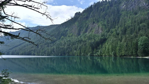 Красиві Озера Vonderer Langbathsee Австрії Літо — стокове фото