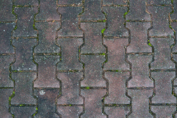 Area with fixed regular interlocking tiles and moss