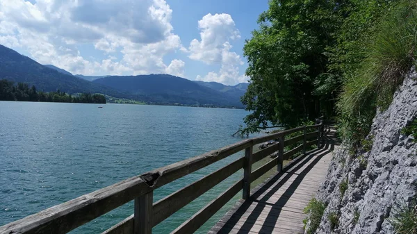 Dřevěná Přírodní Stezka Dobré Procházky Jogging — Stock fotografie