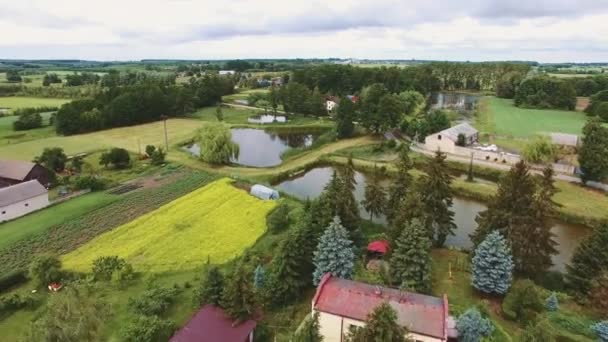 Воздушный беспилотник на сельскохозяйственных полях в маленькой деревне — стоковое видео