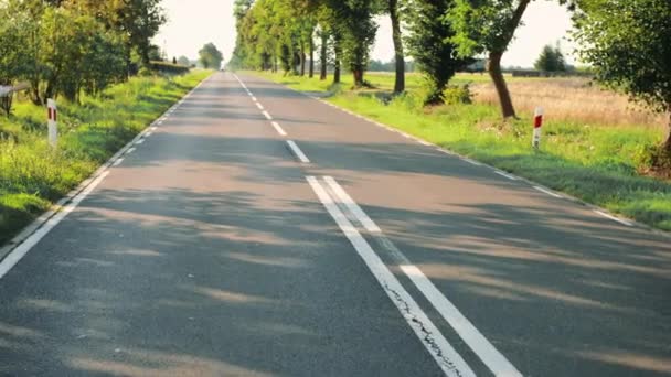 Young woman hitchhiking on countryside road. — Stock Video