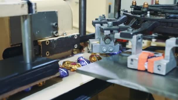 Machine industrielle d'emballage de bonbons. Usine de bonbons . — Video