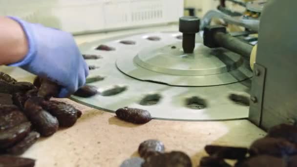 Beskär händer sätta sötsaker i inslagning maskin. Godisfabrik. — Stockvideo