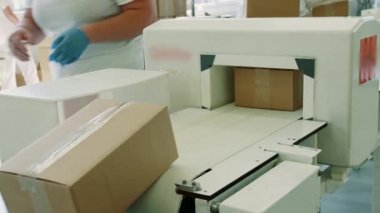 Şeker fabrikası. Konveyör üzerine şeker ile kutu.