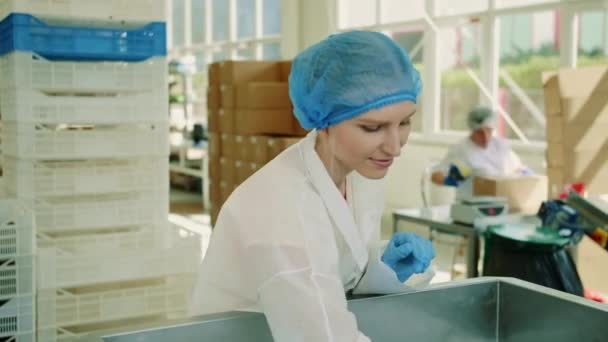 Candy factory. Factory worker checking packing machine. — Stock Video