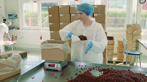 Fabrikarbeiter beim Verpacken von Bonbons. Süßwarenfabrik. — Stockvideo