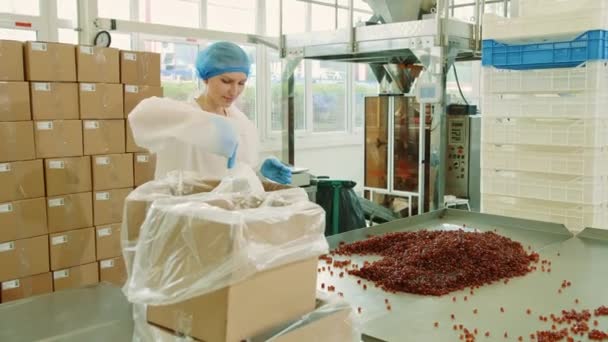 Fabrikarbeiter beim Verpacken von Bonbons. Süßwarenfabrik. — Stockvideo