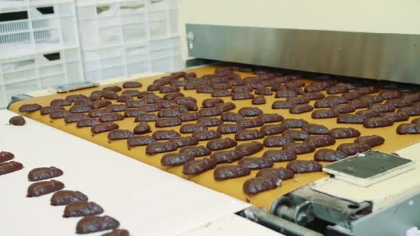 Şeker fabrikası. Taşıyıcıda duran çikolatalı şekerler.. — Stok video
