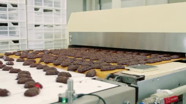 Bonbons au chocolat couchés sur le convoyeur. Usine de bonbons . — Video