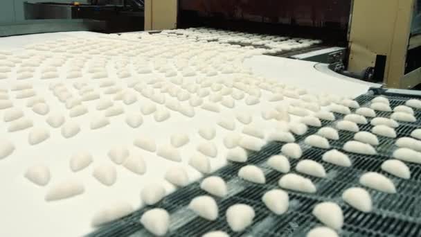 Rows of delicious fresh candies lying on conveyor belt in huge confectionery factory. — Stock Video