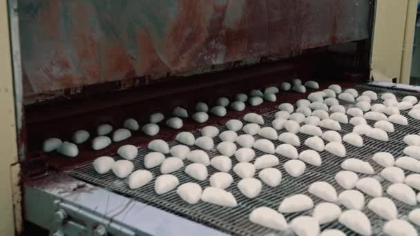 Süßwarenfabrik. Förderband mit Bonbons fährt in Maschine. — Stockvideo