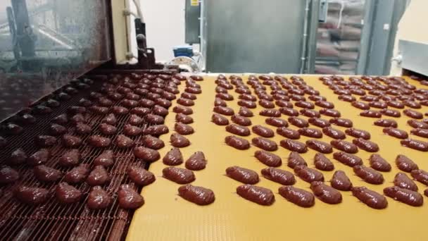 Fábrica de doces. Transportador com doces de chocolate . — Vídeo de Stock