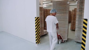 Şeker fabrikası. Depoda şekerler ile kart bastırmak fabrika işçisi.