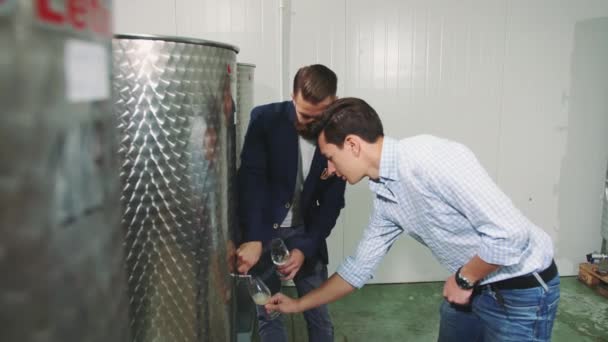 Men tasting fresh wine during production. — Stock Video