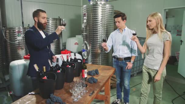 Pessoas degustating vinho com sommelier . — Vídeo de Stock