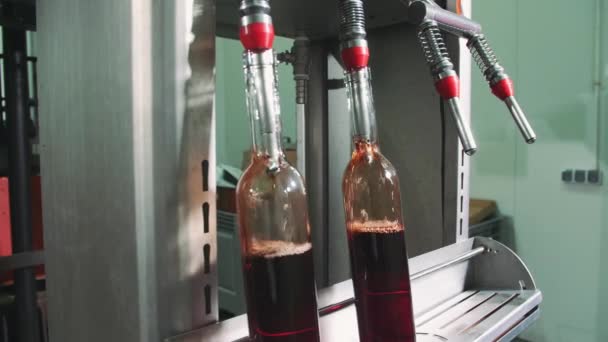 Special machine equipment bottling red wine while manufacturing — Stock Video