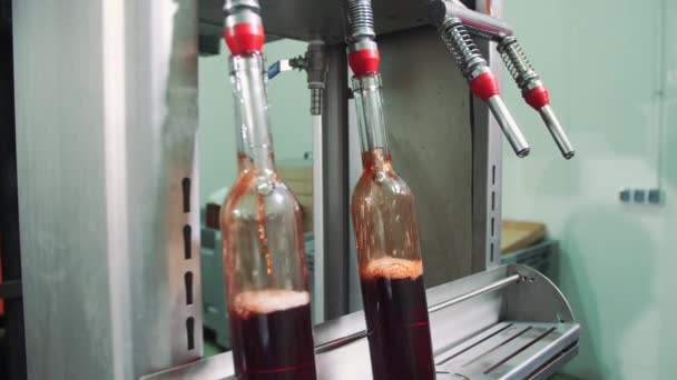 Bottling process of red wine. — Stock Video