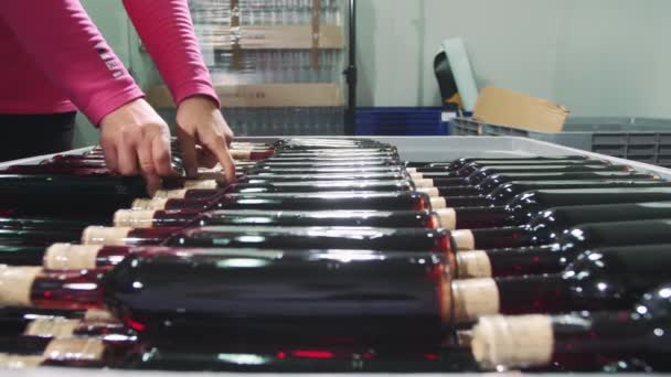 Trabalhador da colheita organizando garrafas de vinho em recipiente — Vídeo de Stock