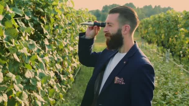 Férfi a szőlőskertben különleges hangszerrel — Stock videók