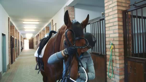 Young woman tightening bridle on horse. — Stock Video