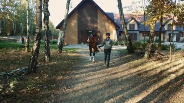 Jonge vrouw in helm lopen met paard op de kabelboom uit stabiel te gaan rijden. — Stockvideo