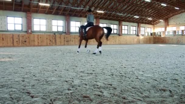 Mujer a caballo caminando lentamente en la arena . — Vídeos de Stock