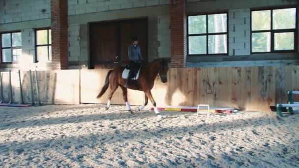 Kvinna på häst gå långsamt på arena. — Stockvideo