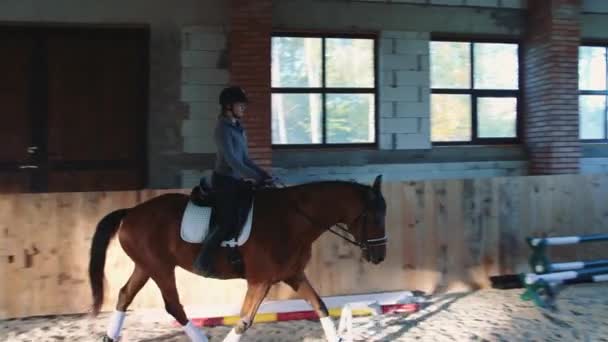 Visa kvinnas utbildning och ridning häst på sandstranden arena under tak. — Stockvideo