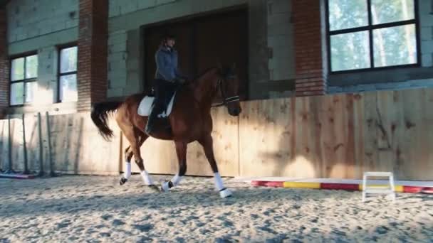Mulher equitação cavalo na pista de corridas coberta . — Vídeo de Stock