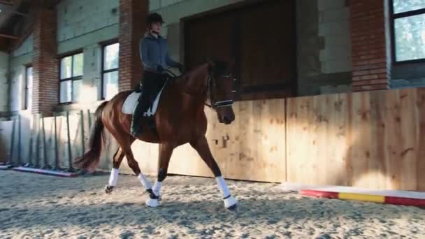 Woman riding horse on covered racetrack. — Stock Video