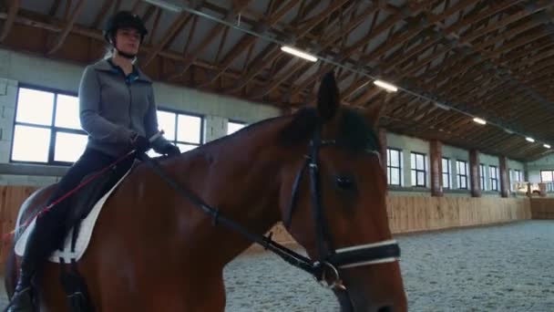 Jovem mulher sentada a cavalo e montando em arena arenosa coberta tendo prática . — Vídeo de Stock