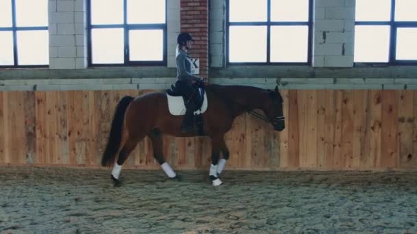 Woman on horse walking slowly on arena. — Stock Video