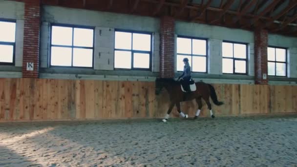 Vue de la formation femme avec cheval tout en chevauchant rapidement sur arène spacieuse sablonneuse sous le toit — Video