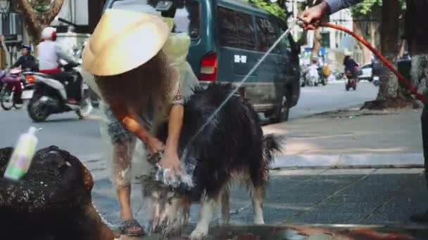 Schuss asiatischer Frauen beim Waschen seines Hundes auf der Straße in Hanoi, Vietnam — Stockvideo