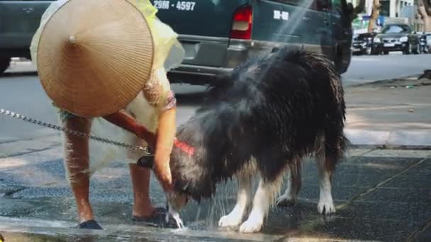 Schuss asiatischer Frauen beim Waschen seines Hundes auf der Straße in Hanoi, Vietnam — Stockvideo
