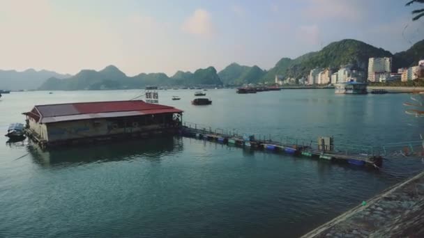 Uitzicht op Cat Ba Island en Halong Bay, Vietnam — Stockvideo