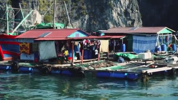 Village de pêcheurs flottant dans la baie de Ha Long. Île de Cat Ba, Vietnam. — Video