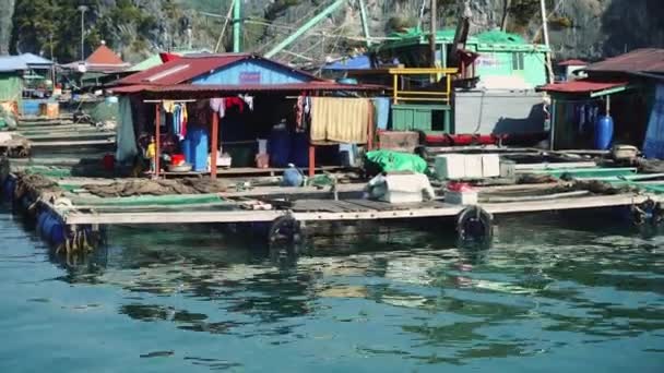 Плавающая рыбацкая деревня в бухте Ха Лонг. Кэт-Ба. — стоковое видео