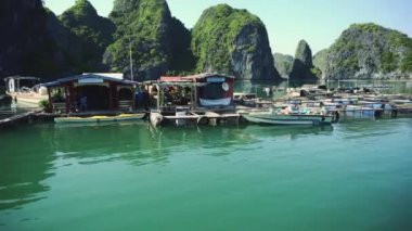 Ha Long Körfezi 'nde yüzen balıkçı köyü. Cat Ba Adası, Vietnam.