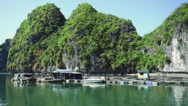 Drijvend vissersdorp in de Ha Long Bay. Cat Ba Island, Vietnam. — Stockvideo