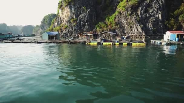 Επιπλέων ψαροχώρι στο Ha Long Bay. Νήσος Κατ Μπα, Βιετνάμ. — Αρχείο Βίντεο