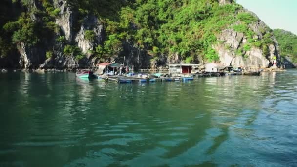 하롱만의 수상 어촌이다. 베트남의 깟 바섬. — 비디오