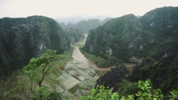 Hang Mua Rice Fields Landscape In Ninh Binh, Vietnam — Stock video