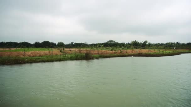 Farmers Harvesting On The River Bank. Tailândia. Vietname — Vídeo de Stock