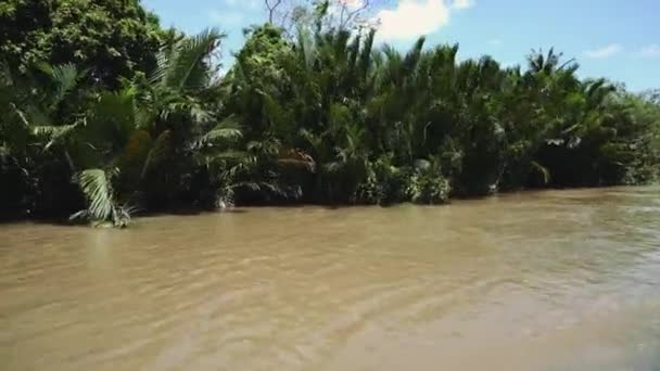 Rio Mekong no Vietnã, Sudeste Asiático — Vídeo de Stock