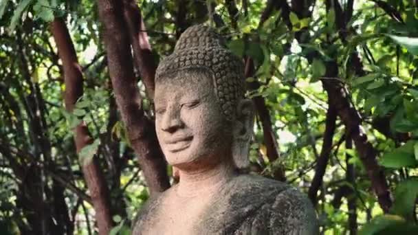 Phnom Penh 'de Buddha heykeli, Kamboçya, Asya — Stok video